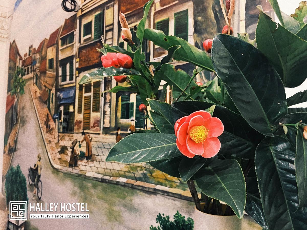 Halley Hostel Ханой Екстериор снимка